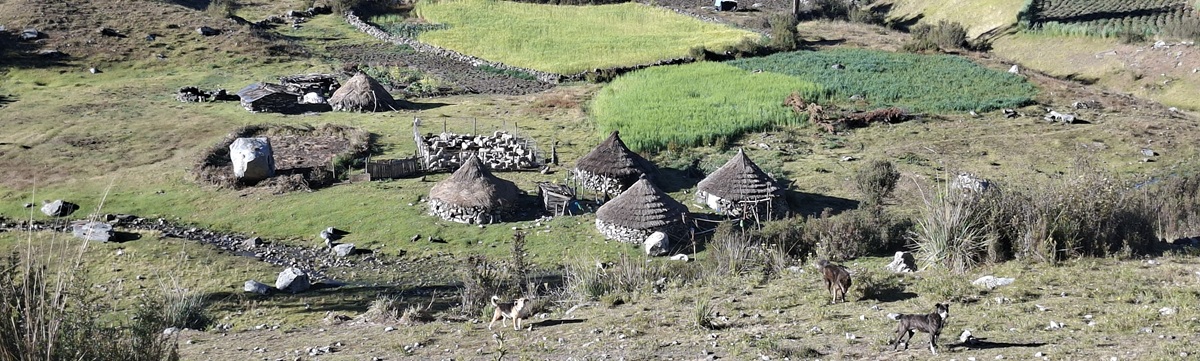 llupa huaraz bungalows
